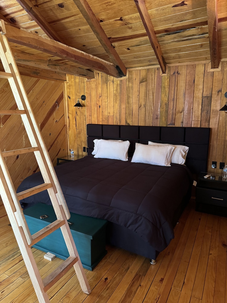 PINE TREE Hotel Boutique and Cabanas 28/56