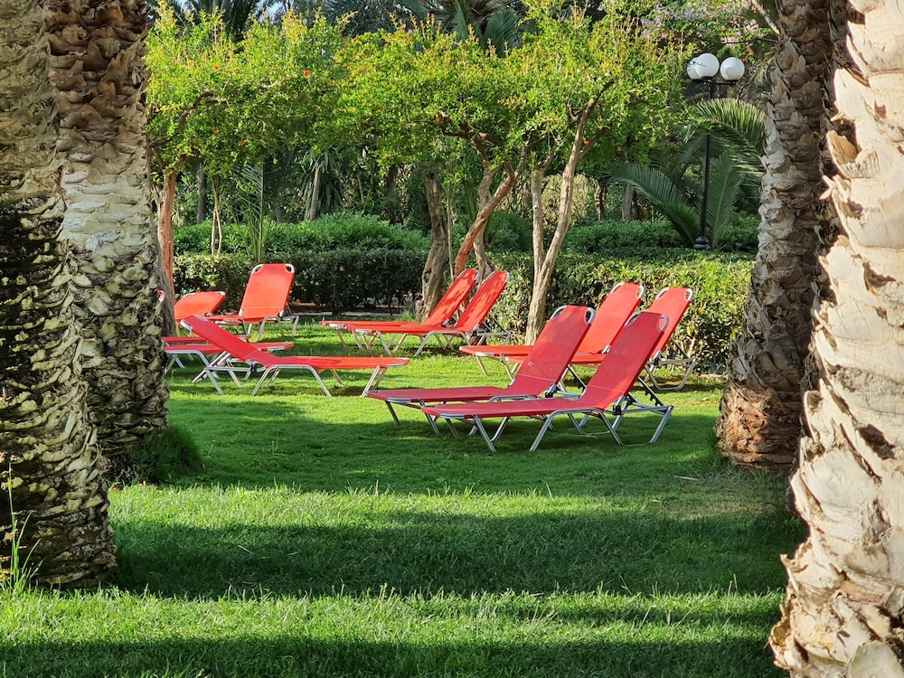 Apollonia Beach Resort and Spa 51/77