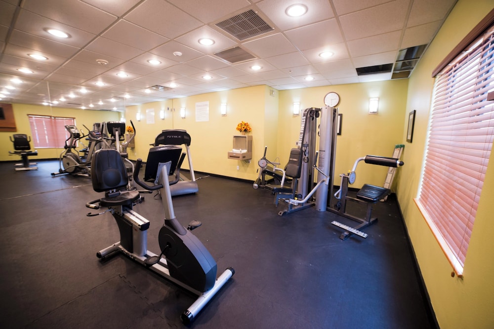 Holiday Inn Express Hotel Suites Atlanta East Lithonia 44/66
