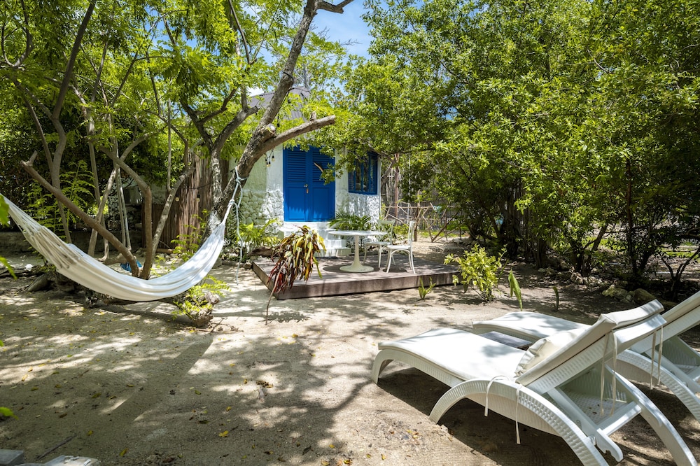 Hotel Coralina Island 35/50