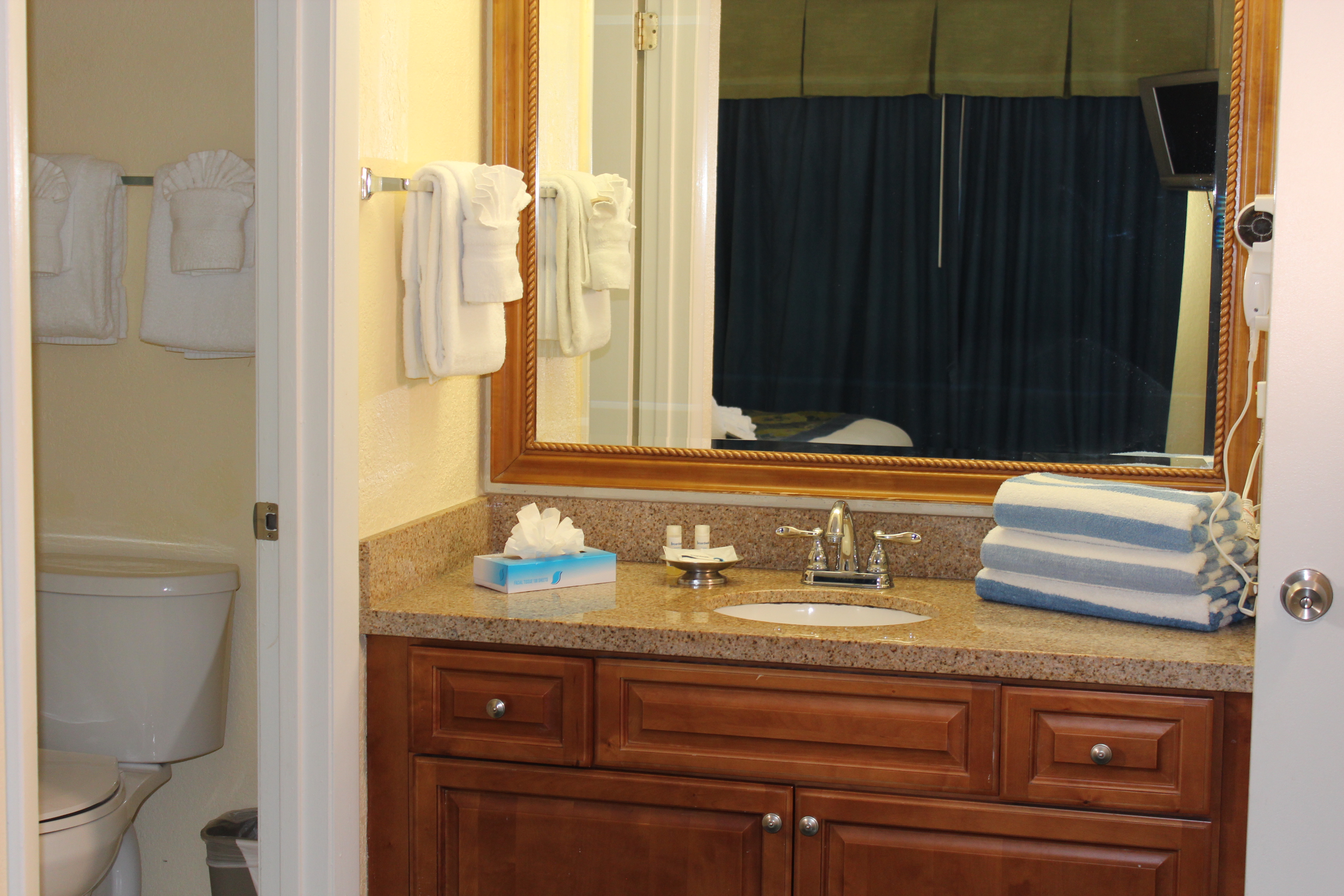 ONE BEDROOM EXECUTIVE SUITES