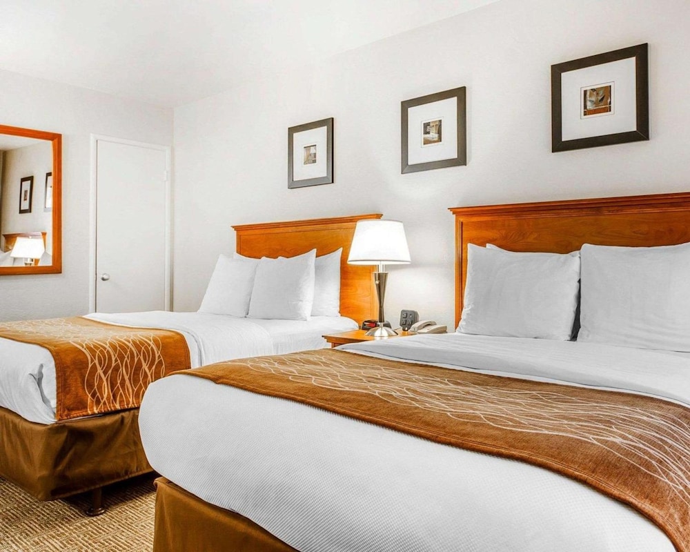 The Inn At 1252 Monterey 17/33