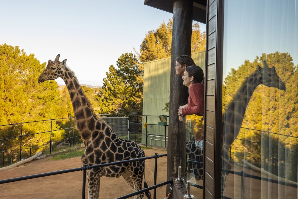 JAMALA WILDLIFE LODGE 24/50