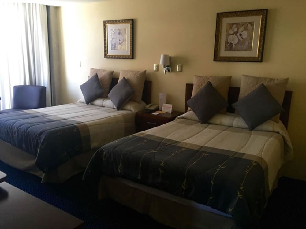 Hotel Real Plaza 25/69