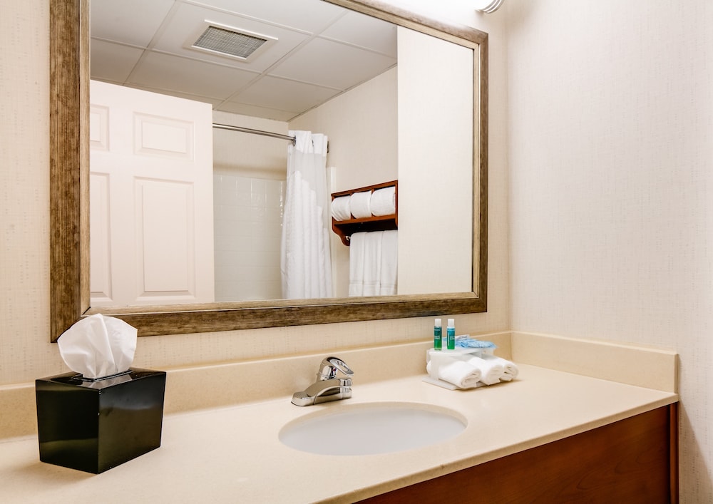 Holiday Inn Express Suites Coralville 64/67