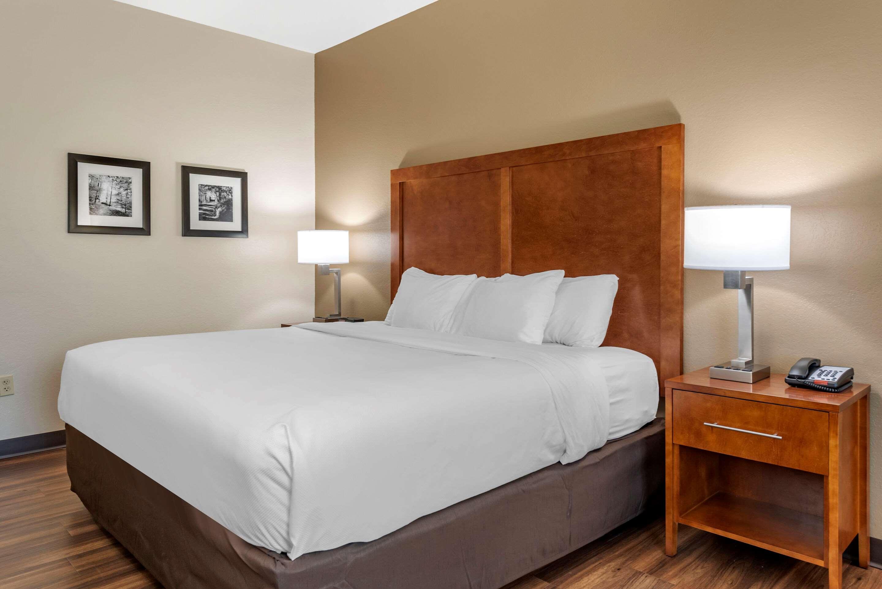 Efficiency, Suite, King Bed