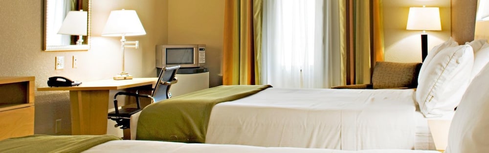 Holiday Inn Express Hotel And Suites Borger 15/43