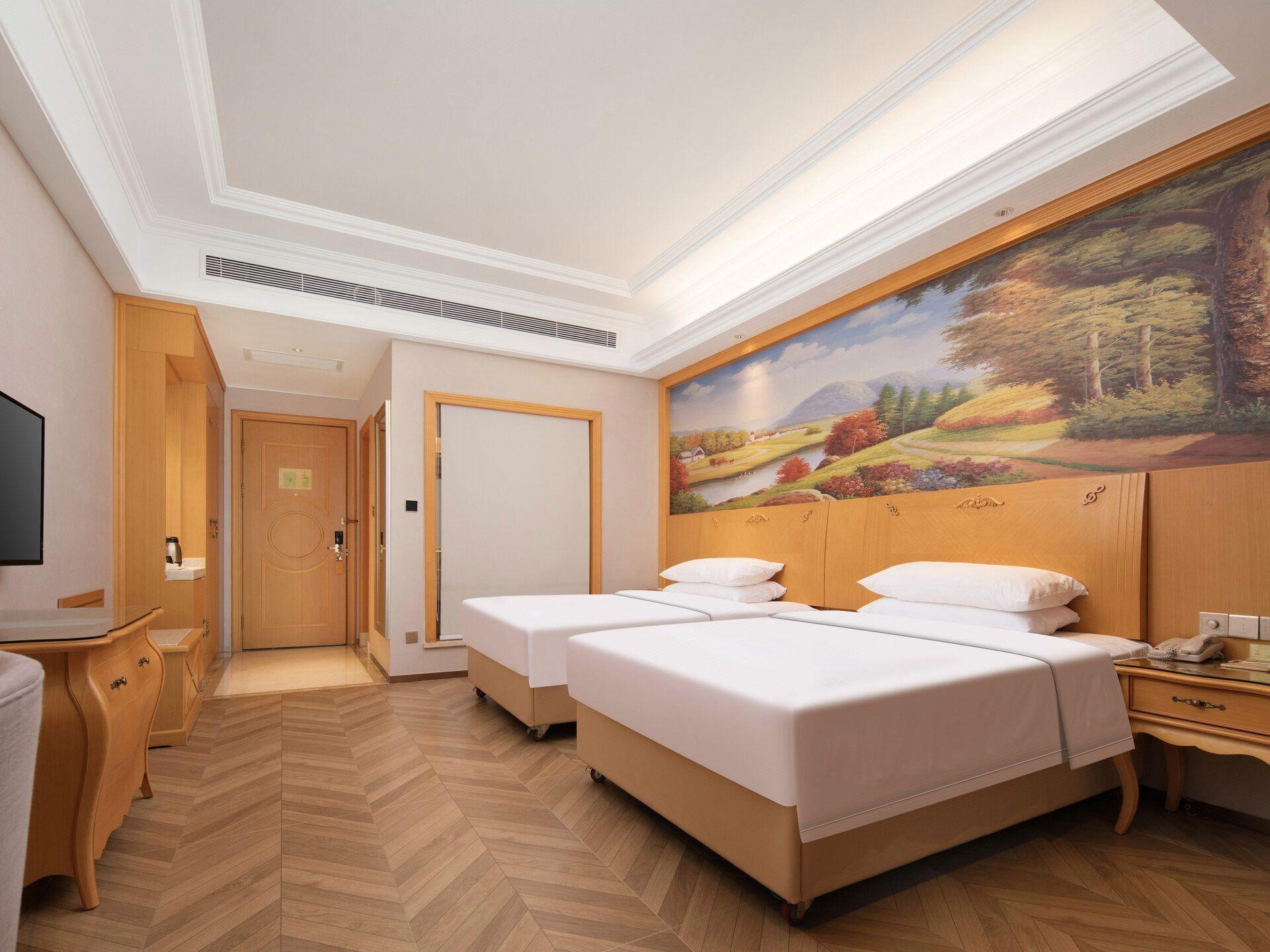 Vienna International Hotel (Wuhan Hanxi) 44/66