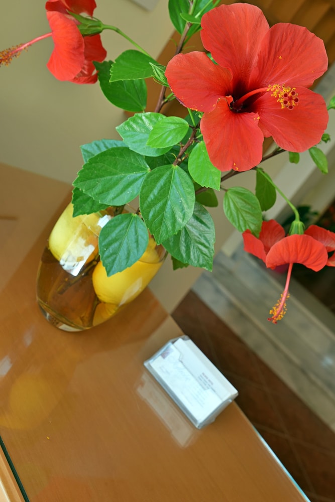 Iolkos Hotel 24/52