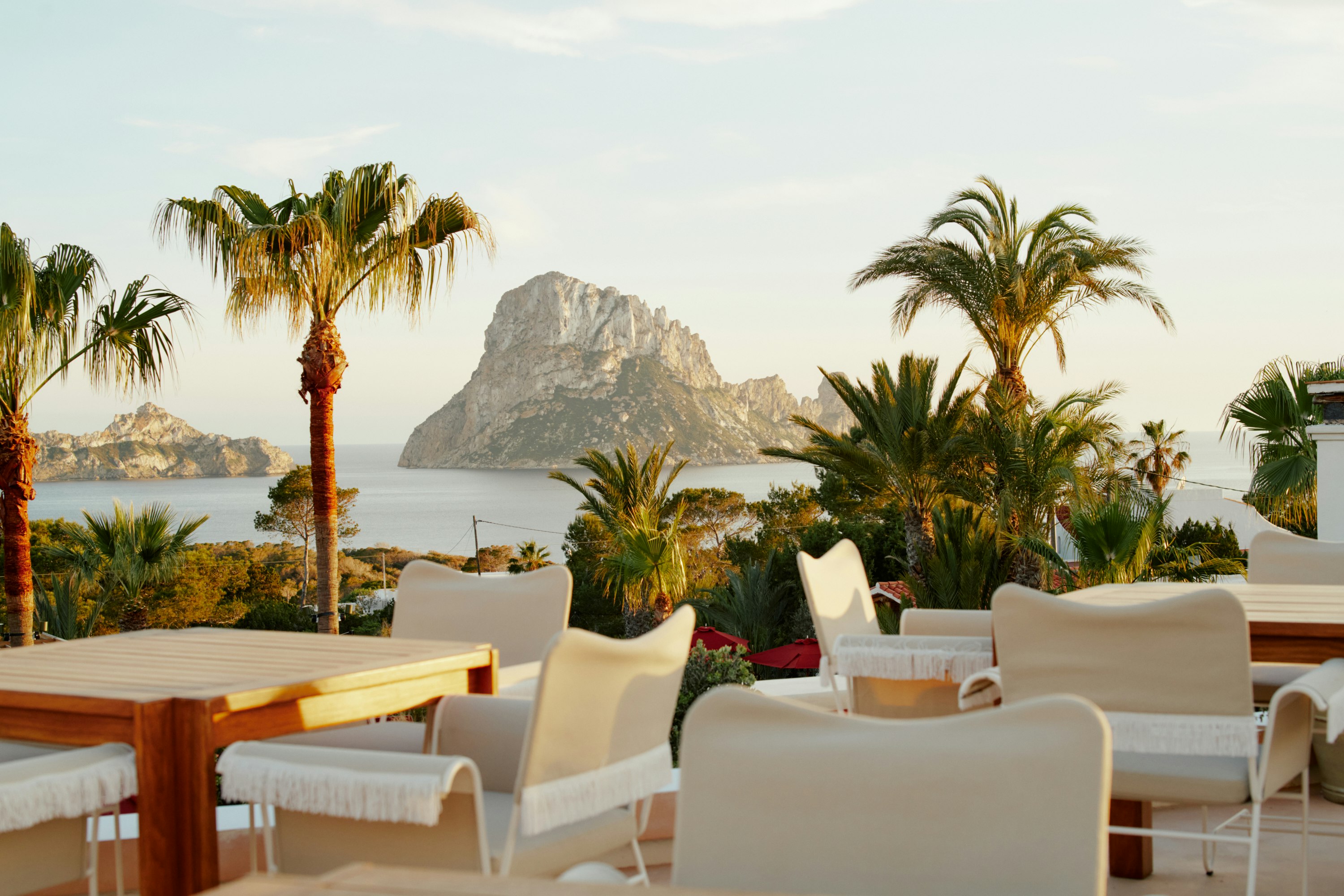 Petunia Hotel Ibiza 41/50
