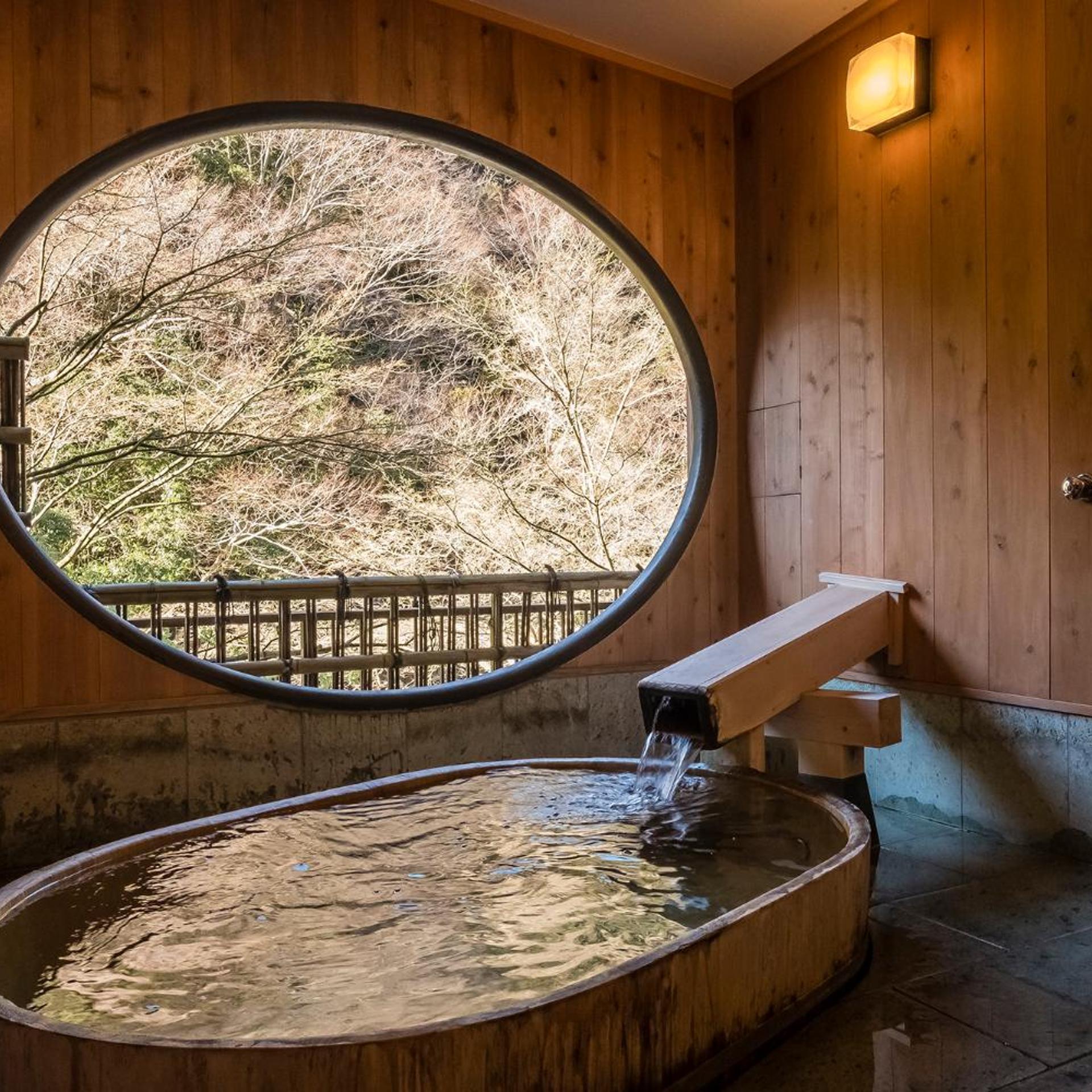 Hakone Tonosawa Onsen Shiunso 25/50