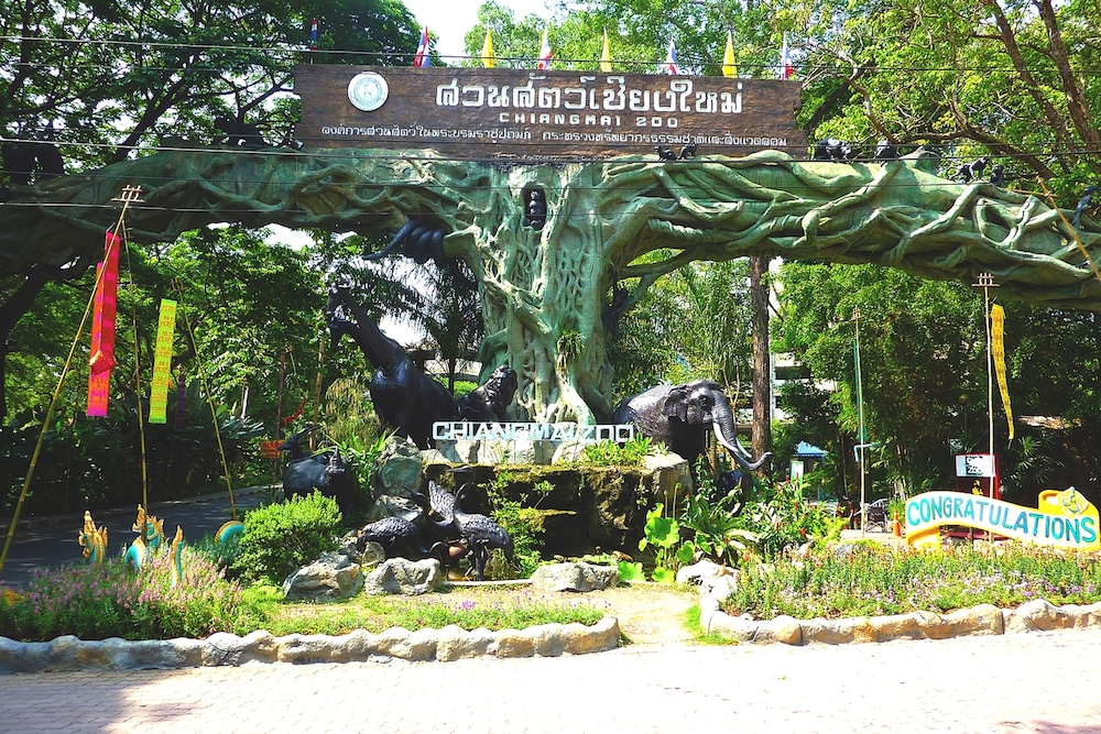 The Greenery central suite & hotel 42/50