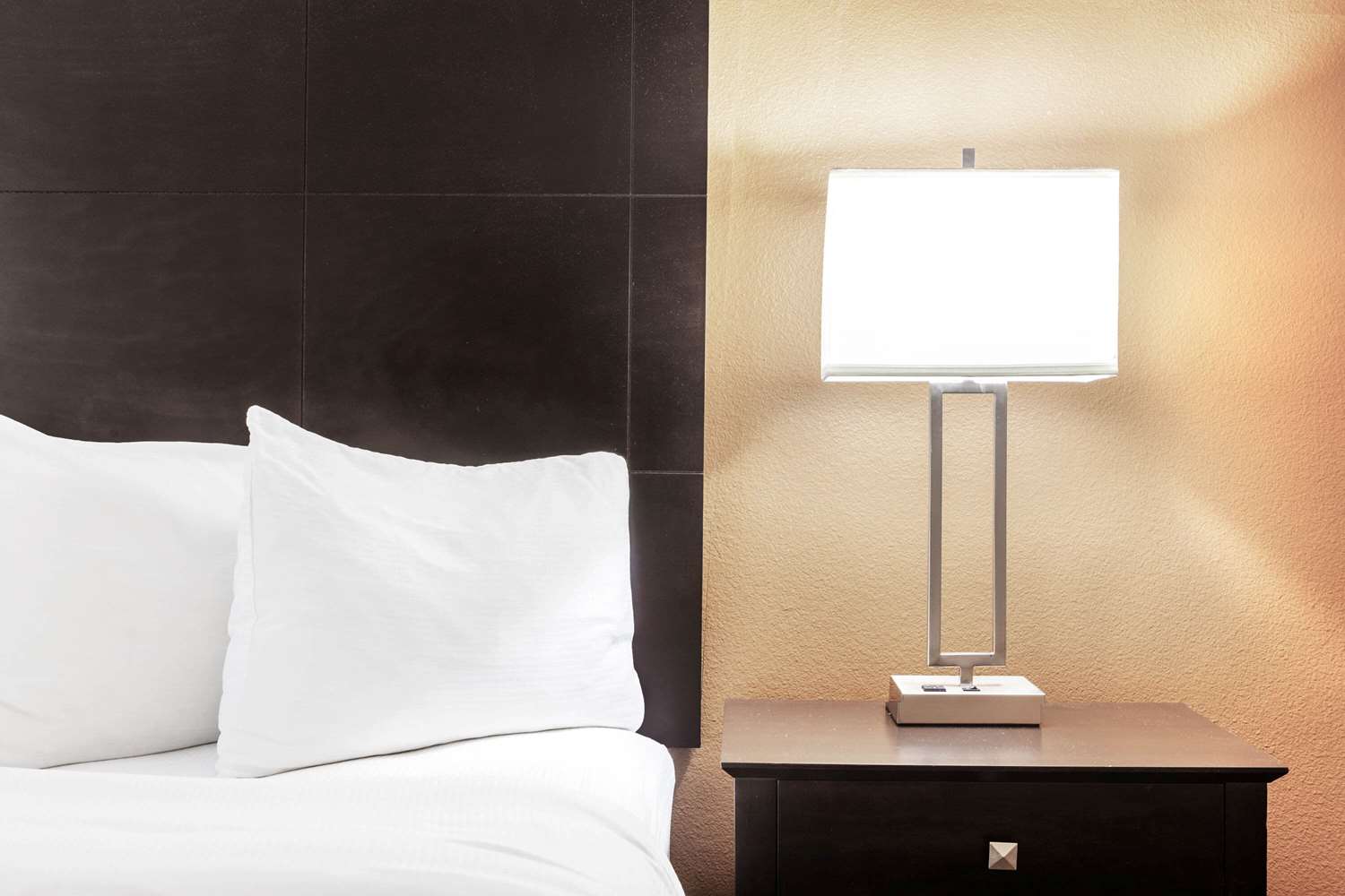 La Quinta Inn Suites Beeville 20/40