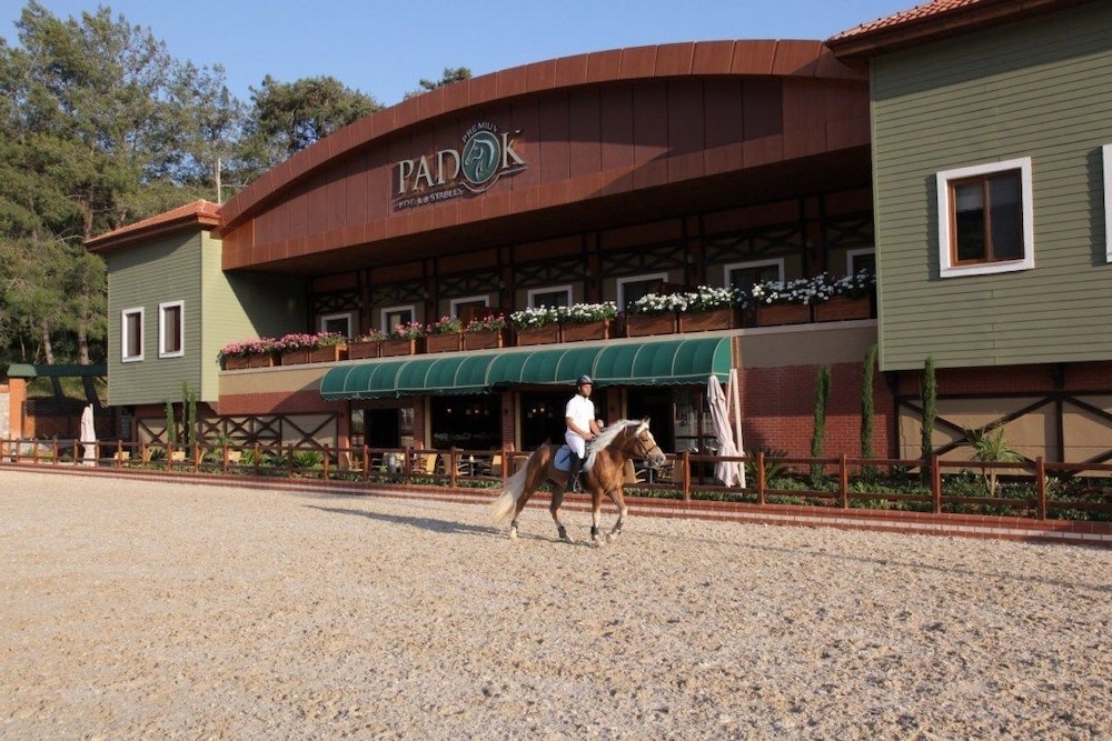 Padok Premium Hotel and Stables 6/44
