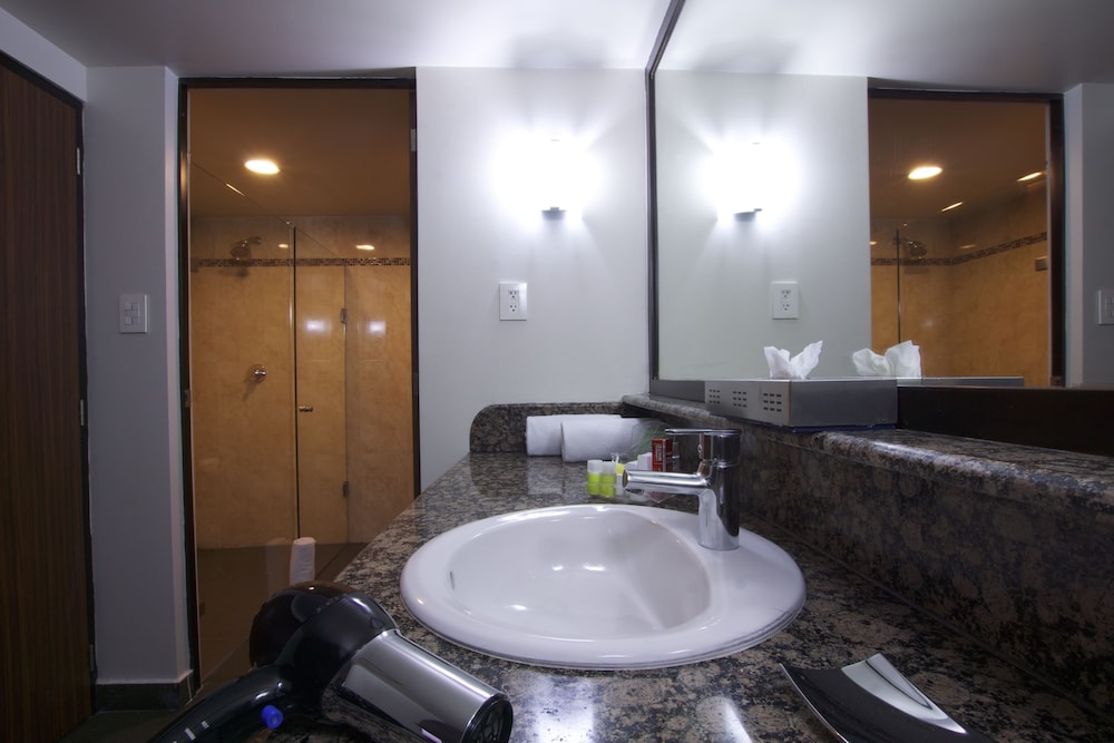 Holiday Inn Ciudad de Mexico Trade Center 23/80
