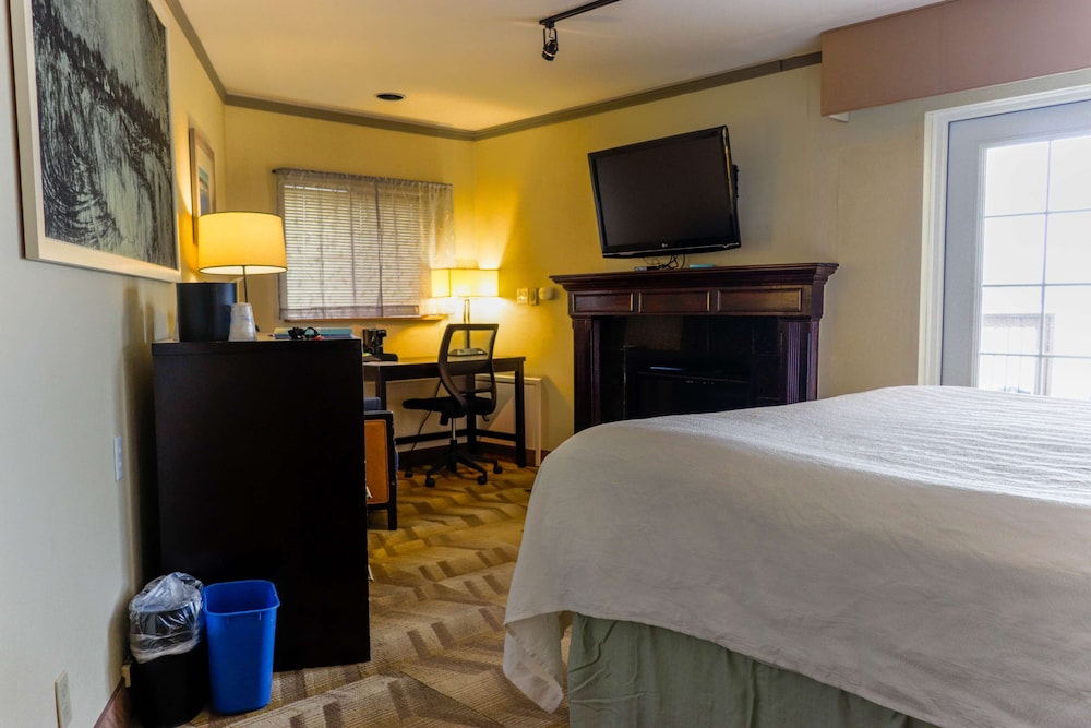 Silverdale Beach Hotel 9/50