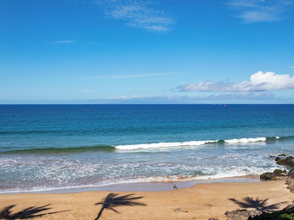 Polo Beach Club A Destination Residence 74/78