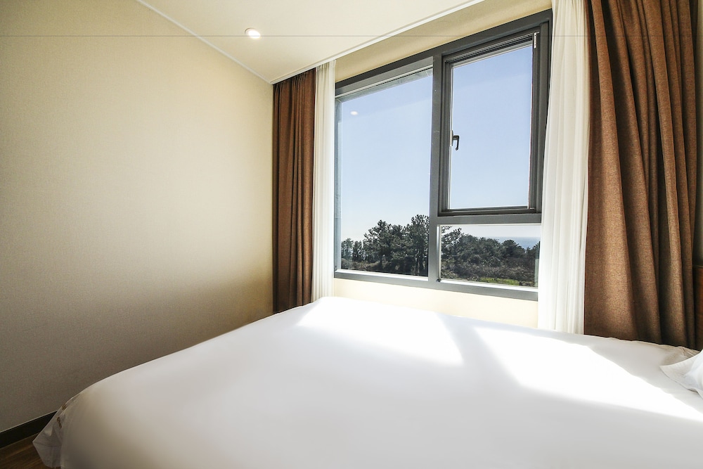 Jeju Ocean Blue Hotel 27/61