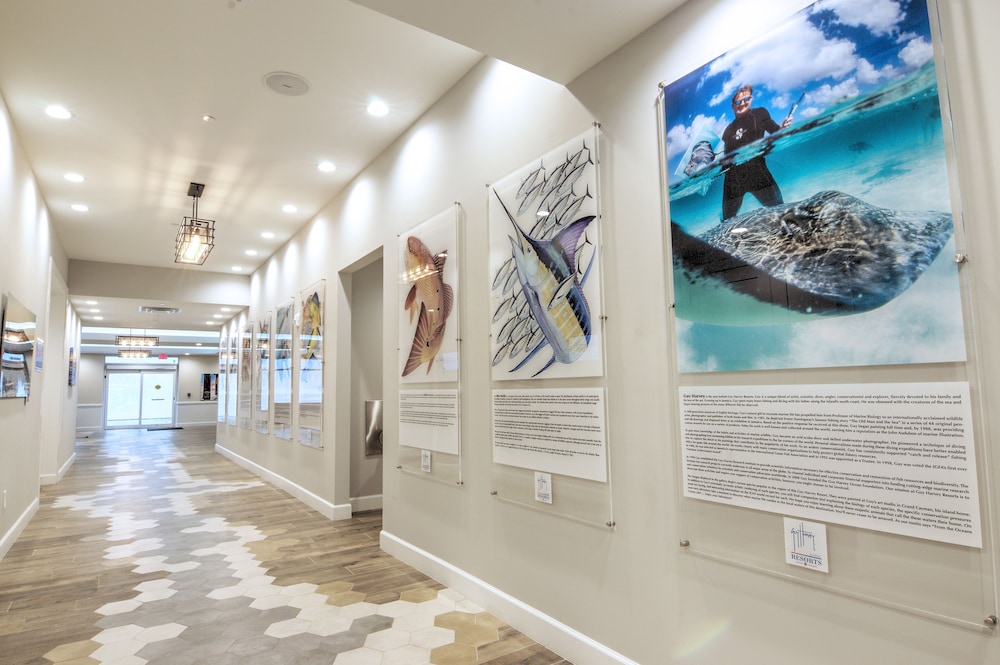 Guy Harvey Resort St. Augustine Beach 35/64
