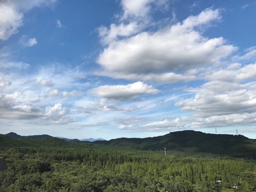 Mercure Miyagi Zao Resort & Spa 45/50