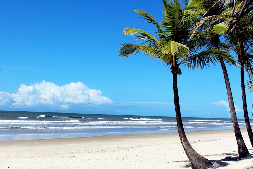 Jardim Atlantico Beach Resort 71/76