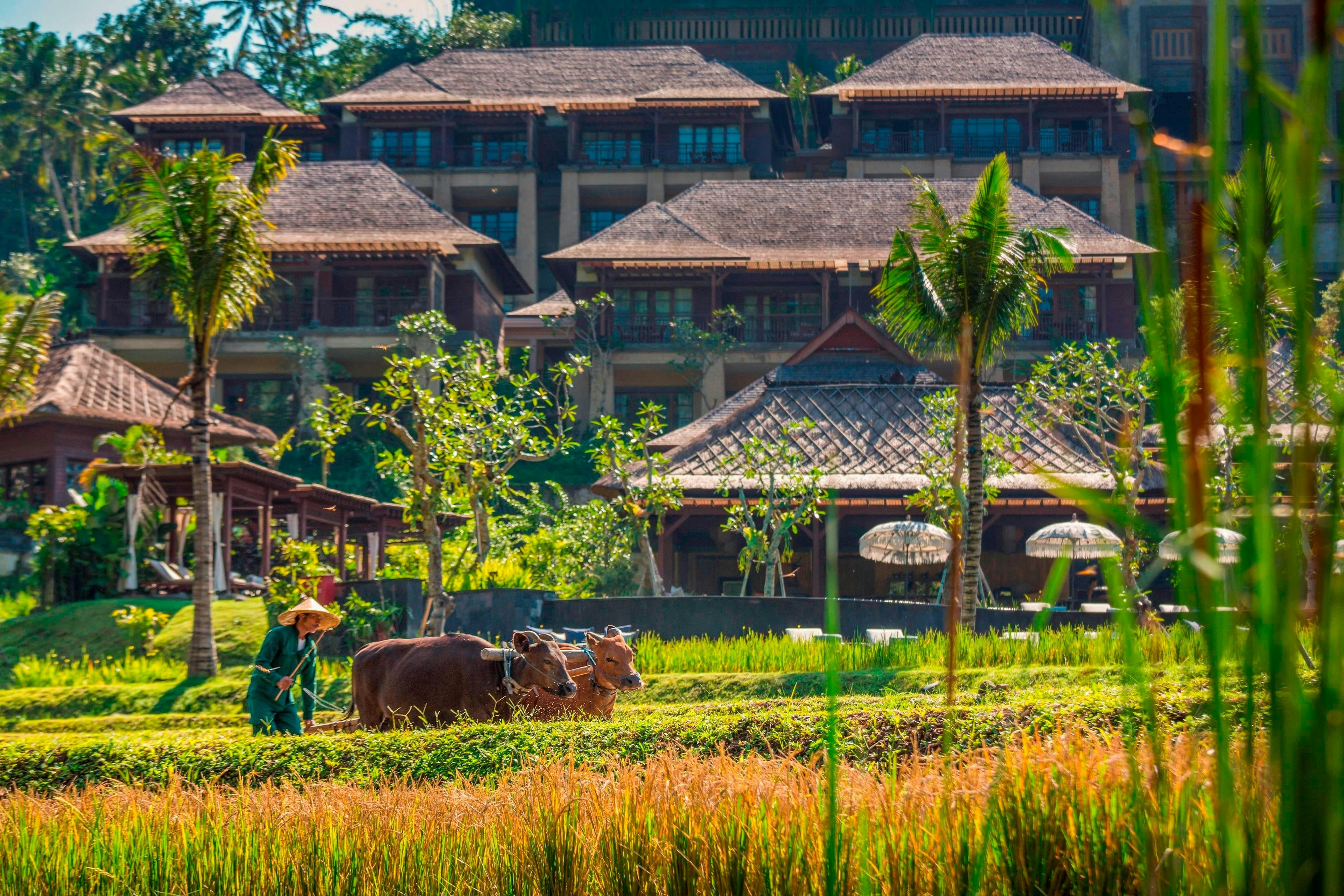 Mandapa A Ritz Carlton Reserve 53/58