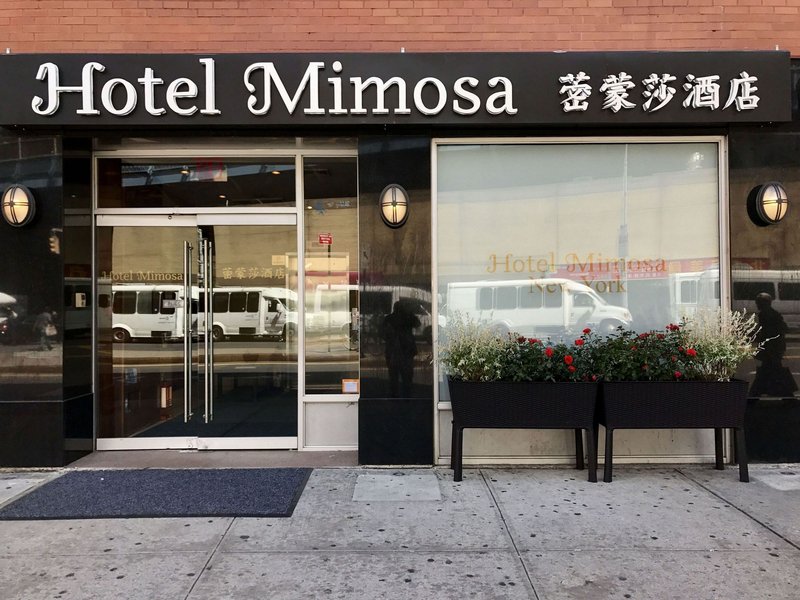 Hotel Mimosa 2/37