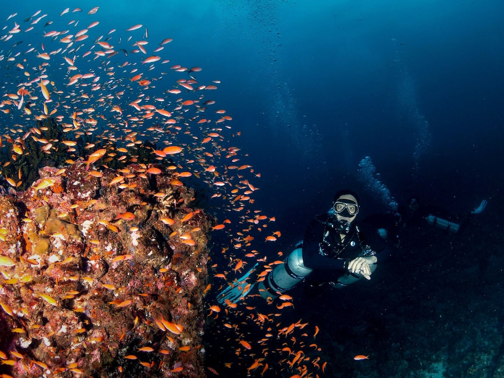 The Pade Dive Resort Ex the Pade Resort Sabang 11/17