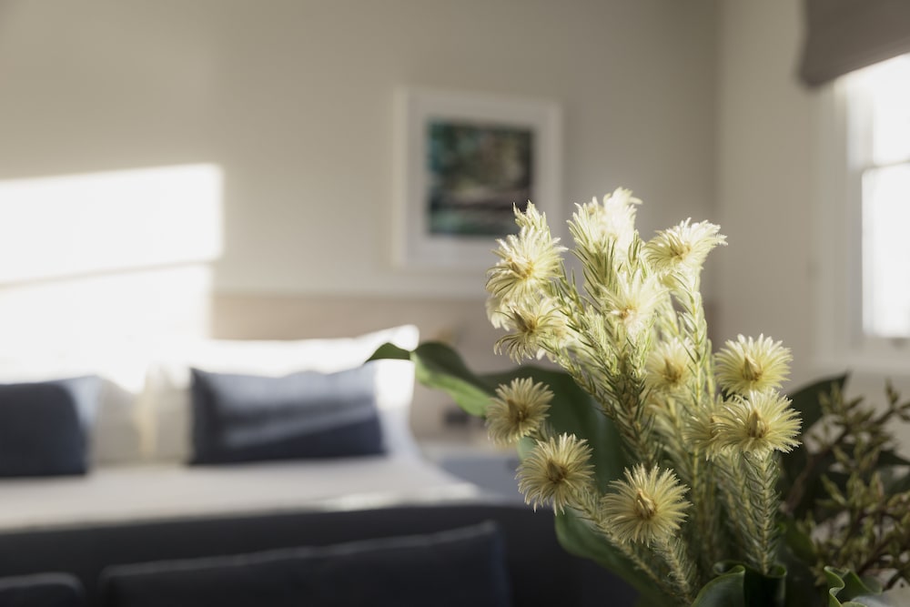 Spicers Potts Point 53/80