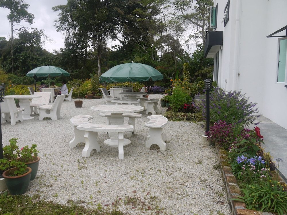 Rovers Inn Tanah Rata 18/19