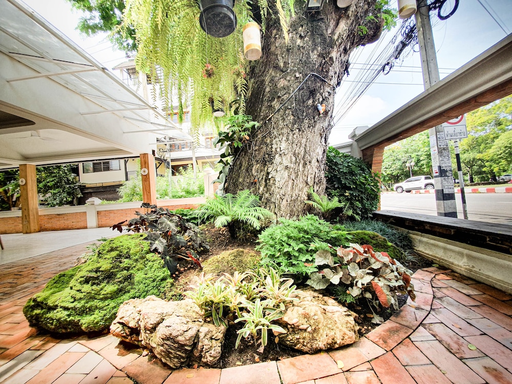 Big Tree Old Town Hotel 72/77