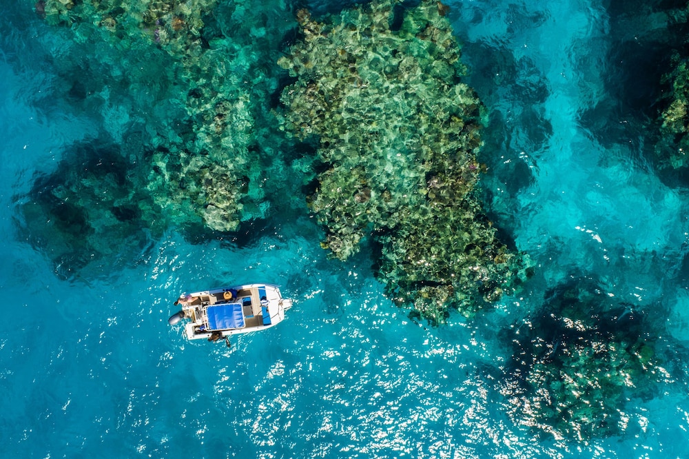 Nukubati Private Island Great Sea Reef - All Inclusive 27/62