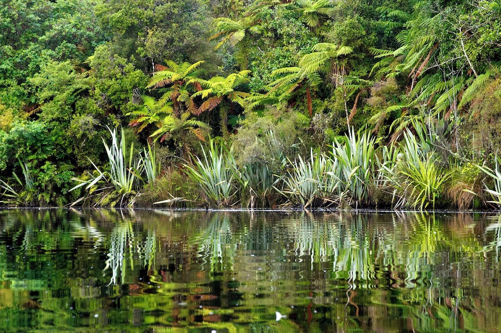 Lake Moeraki Wilderness Lodge 26/39