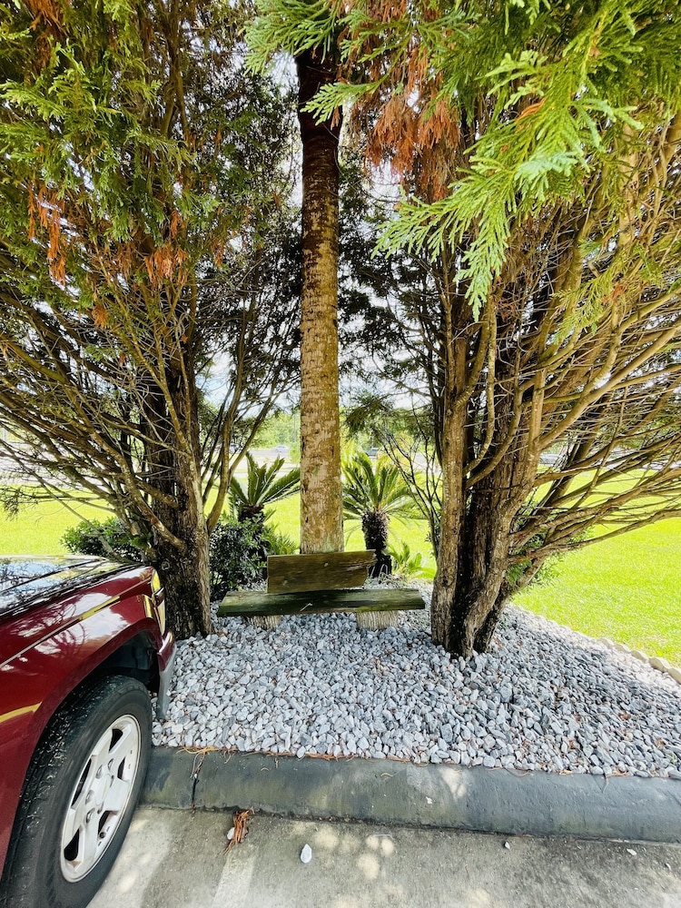 Best Western Magnolia 42/50