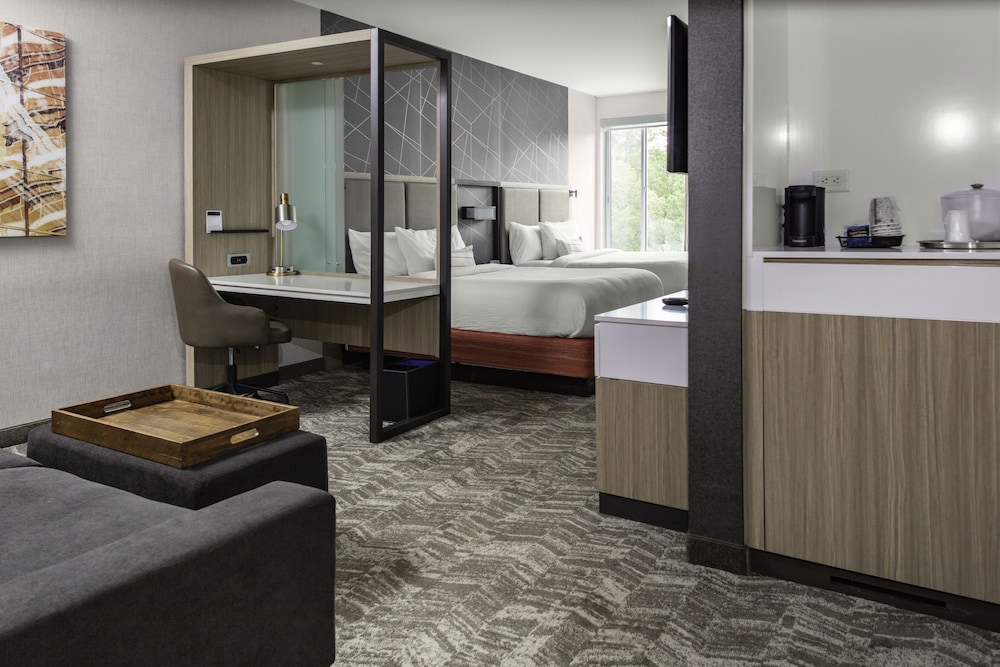 SpringHill Suites by Marriott Atlanta Alpharetta/Roswell 35/36