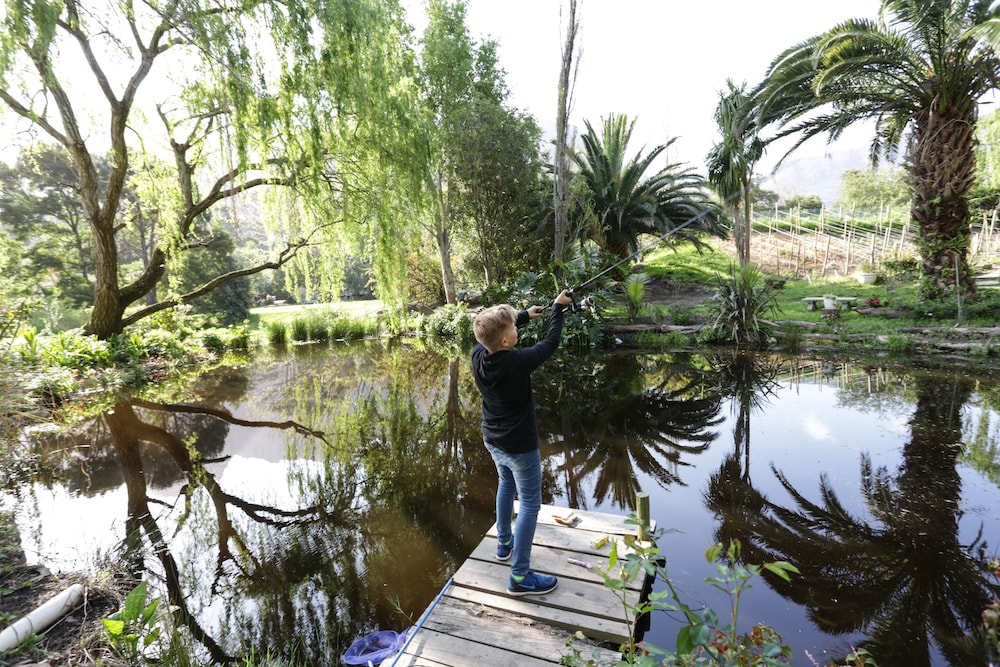 Waterland 40/50