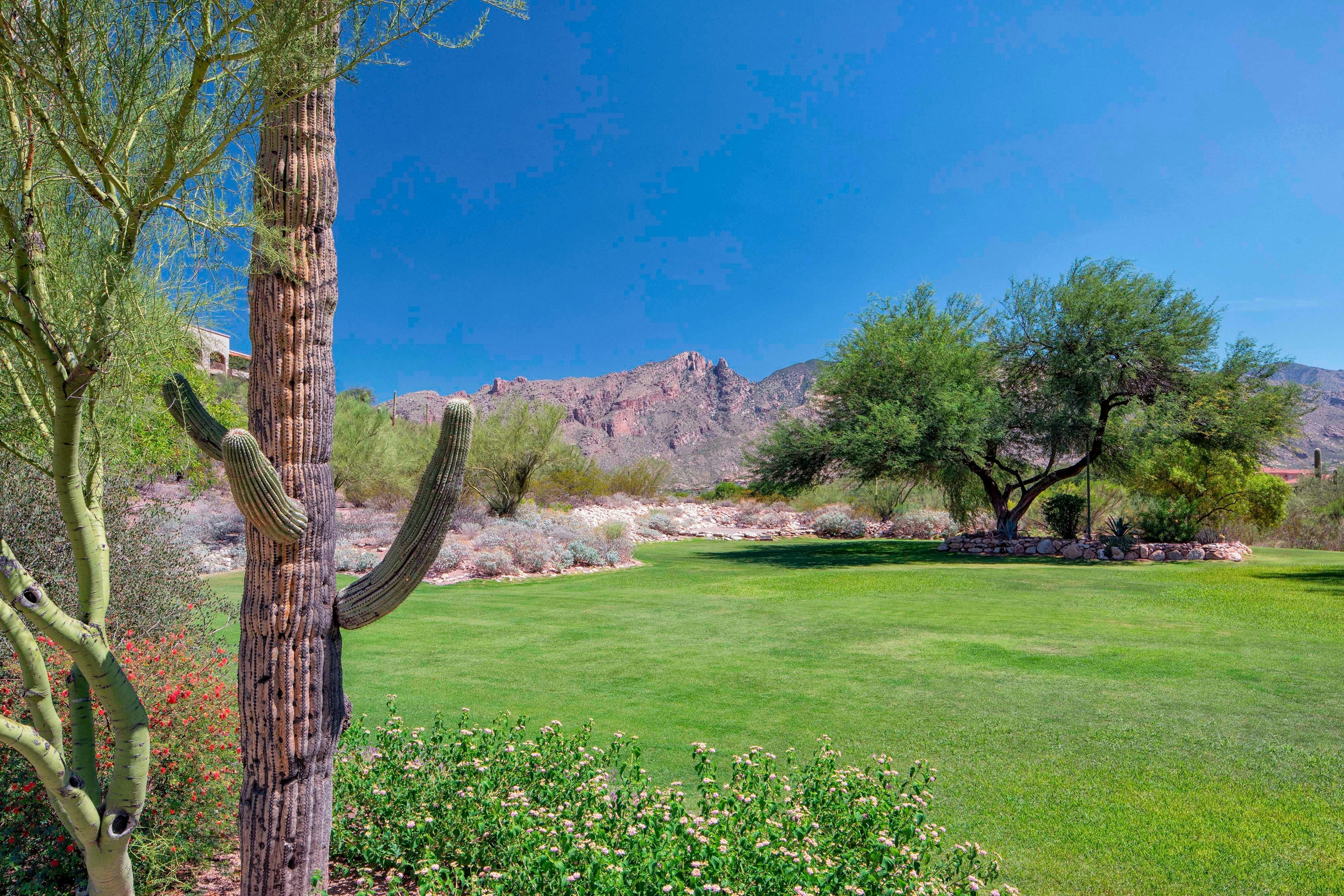 Westin La Paloma Resort And Spa 22/37