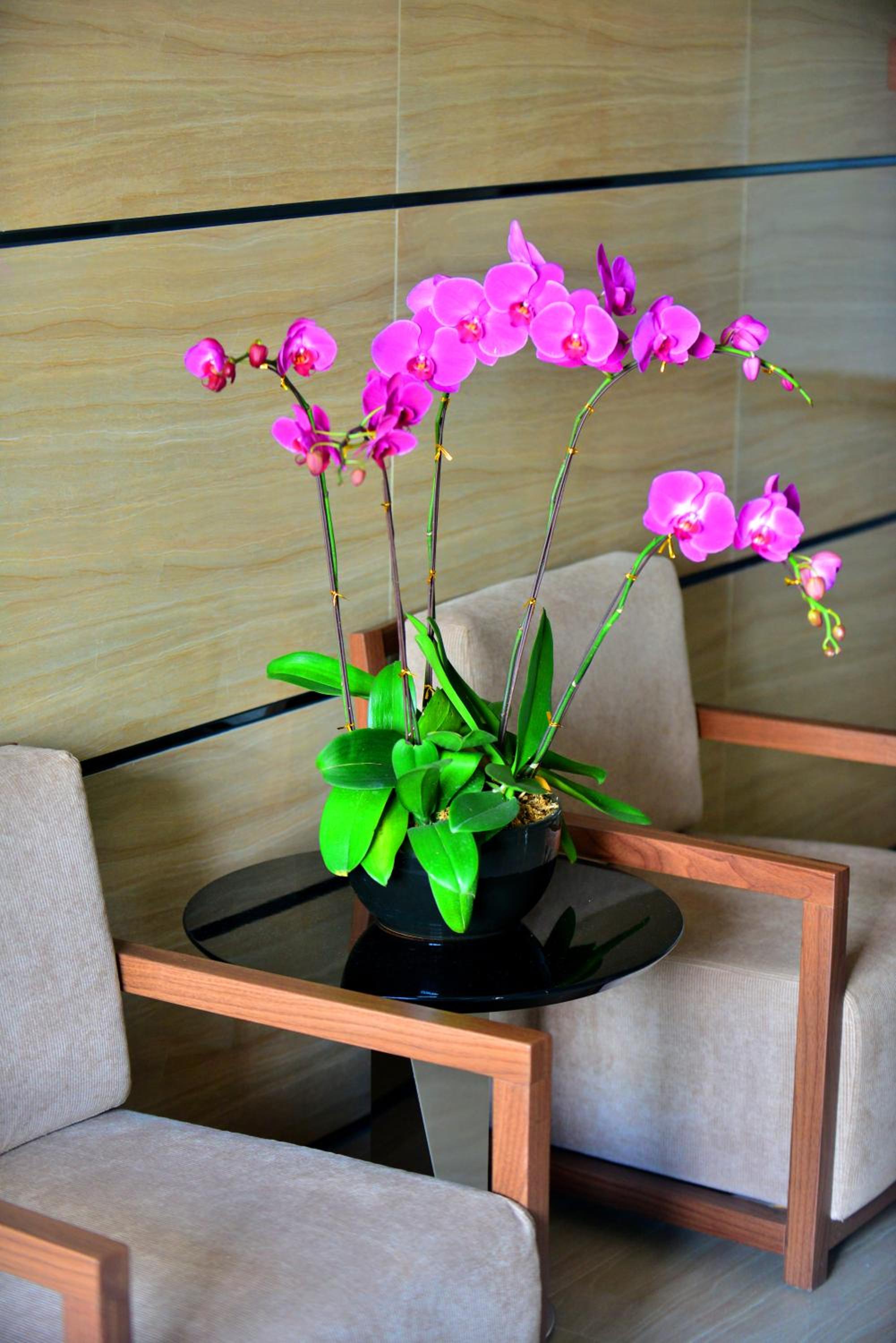Barry Boutique Seaview Hotel Sanya 30/51