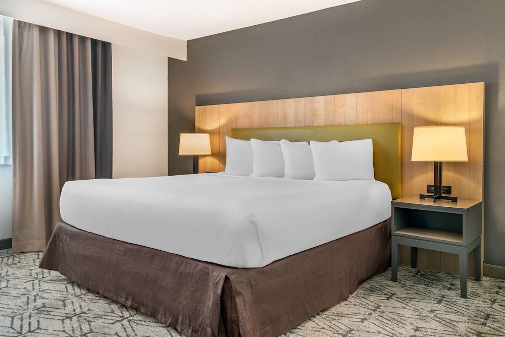 Room, King Bed