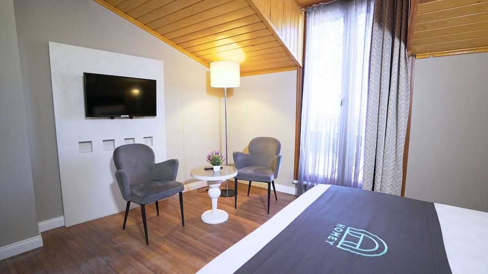 Homey Airport Hotel 44/50