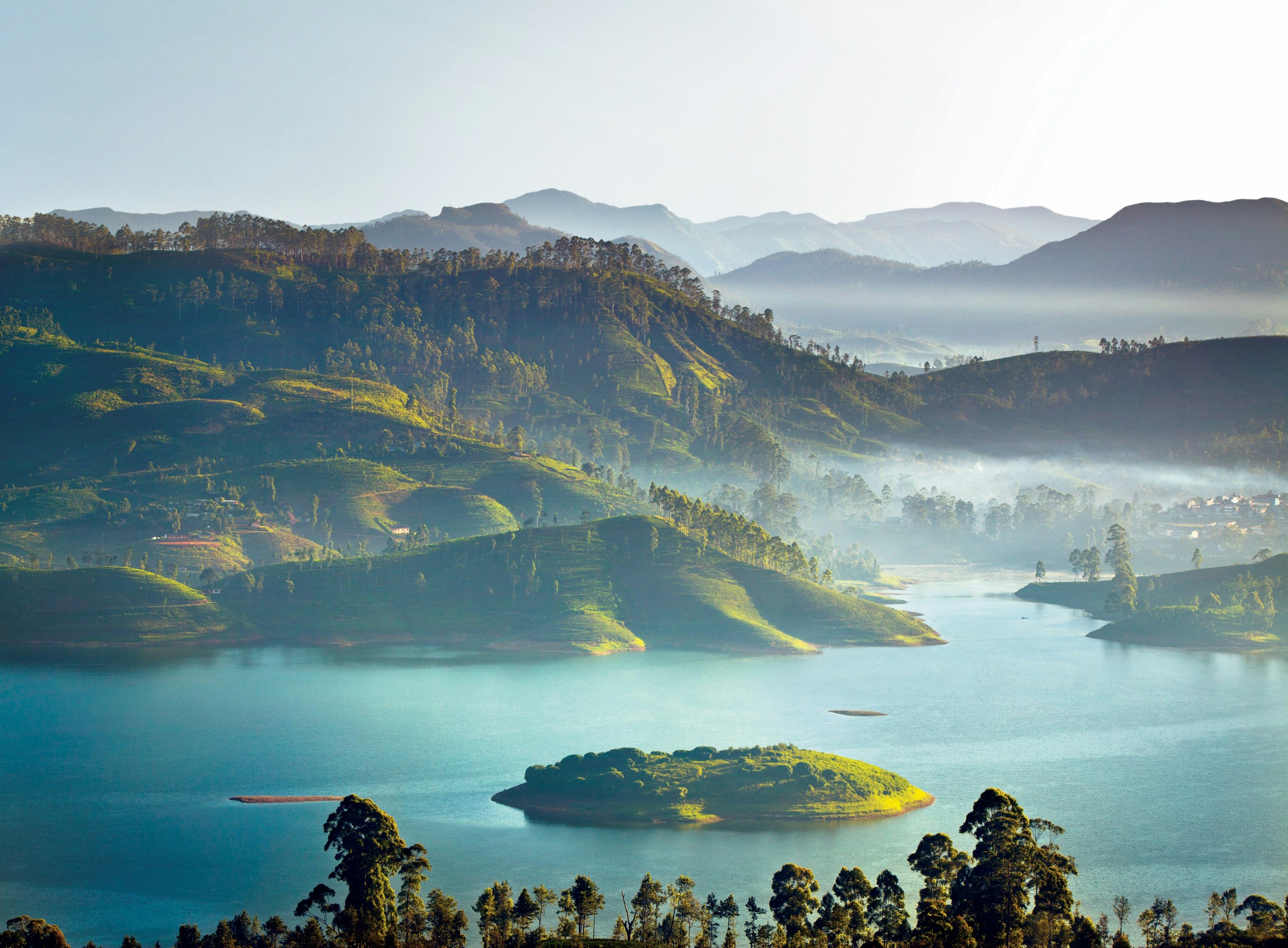 Tea Trails 24/43