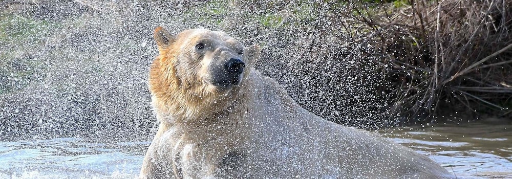 Hex Wildlife Hotel at Yorkshire Wildlife Park 29/36