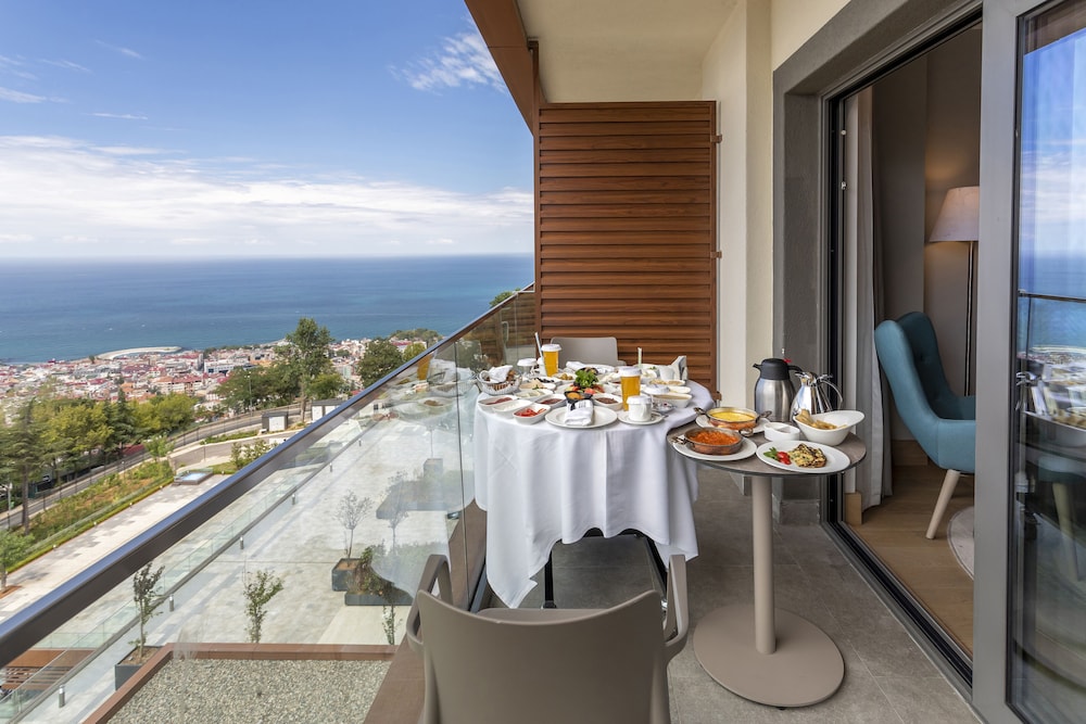 Radisson Blu Hotel Trabzon 60/70