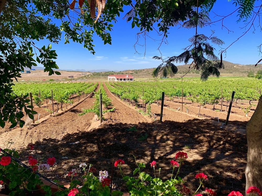 Rancho El Parral 37/50