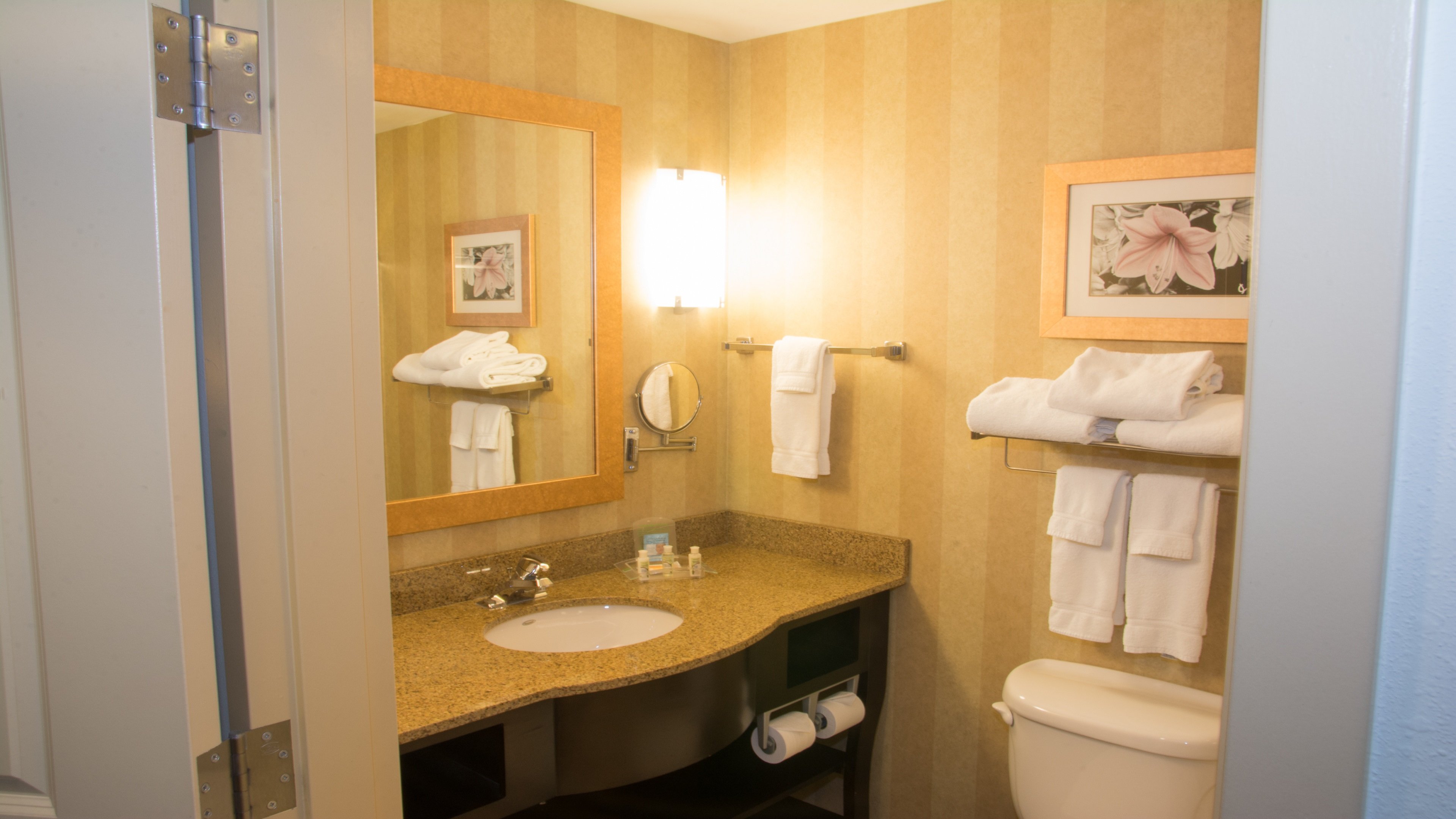 Holiday Inn St. Louis Fairview Heights 71/72