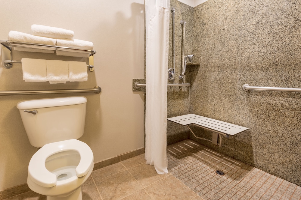 Holiday Inn Express Hotel and Suites Manteca City Center 29/76