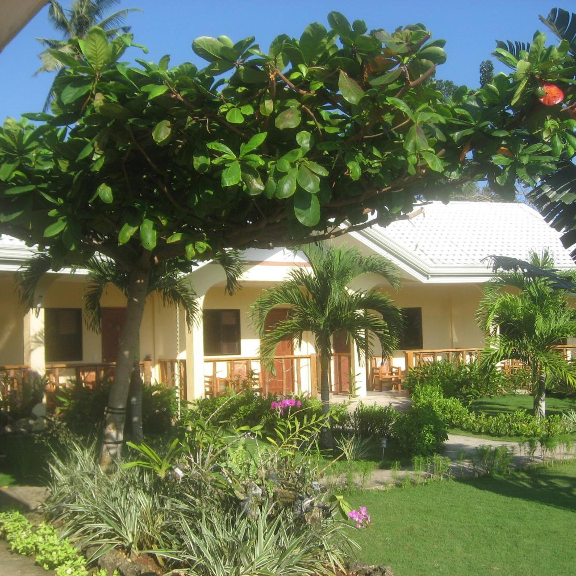 Bohol Sunside Resort 38/50