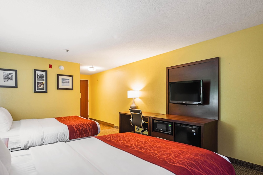 STANDARD, 2 QUEEN BEDS