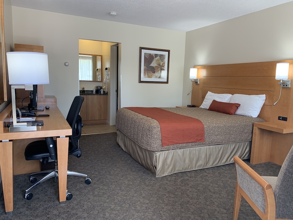 Motel Adam 23/70