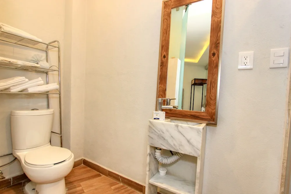 Hotel Grand Guanajuato 44/50